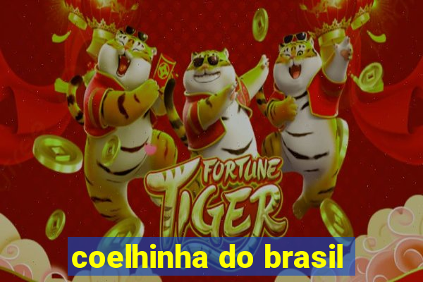 coelhinha do brasil